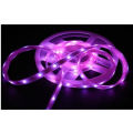 Фиолетовая светодиодная лента Epistar SMD3528 IP68 4.8W / M / 2100lm 24W Светодиодные ленты Flex